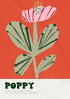 POPPY
