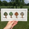 Four Seasons