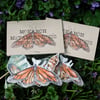 monarch metamorphosis sticker pack