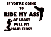 Image 3 of If You're Going To Ride My Ass At Least Pull My Hair First