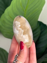 Image 3 of MEXICAN LACE AGATE SHIVA D