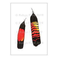 Image 2 of Australian Art print - Glossy black cockatoo feathers