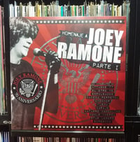 Image 1 of Homenaje A Joey Ramone Parte 1 