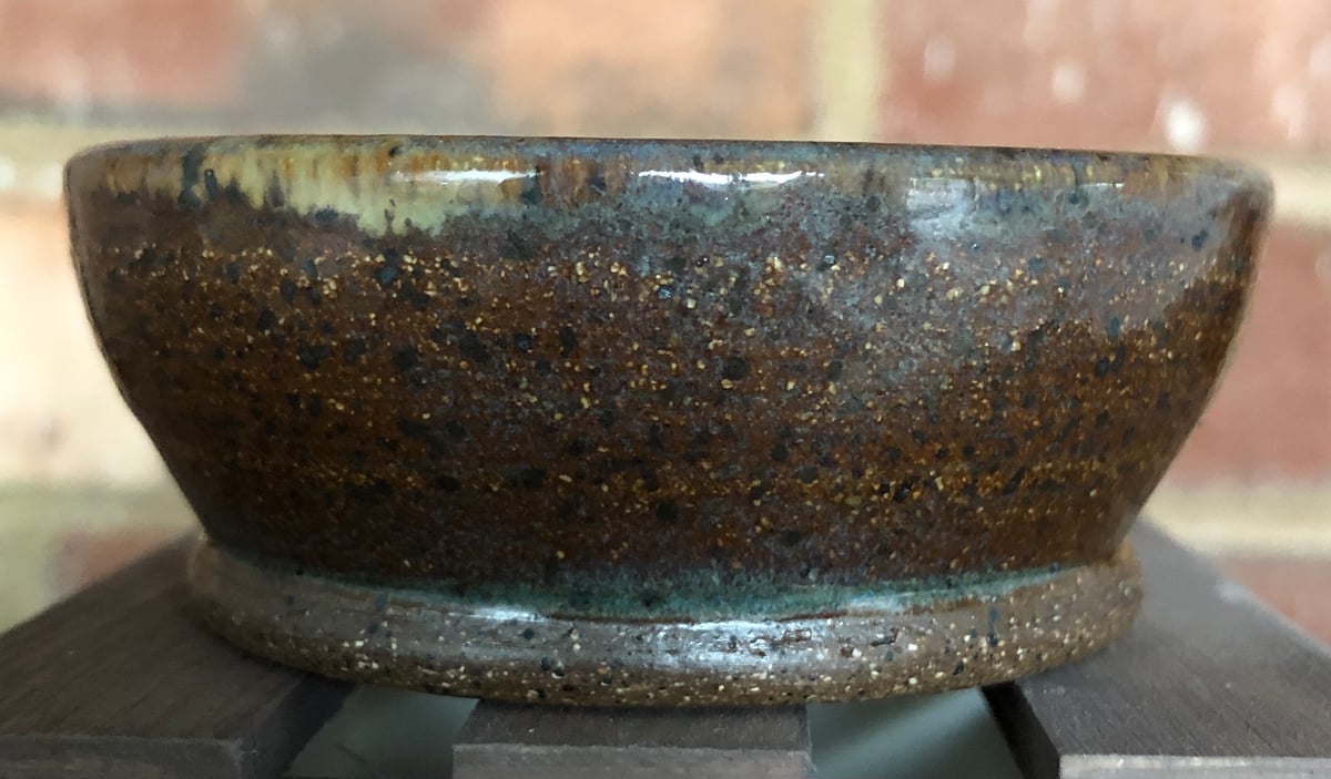 Image of Intergalactic Planetarium Ring Dish