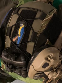 Image 4 of Golden Macaw Patch & Sticker Combo
