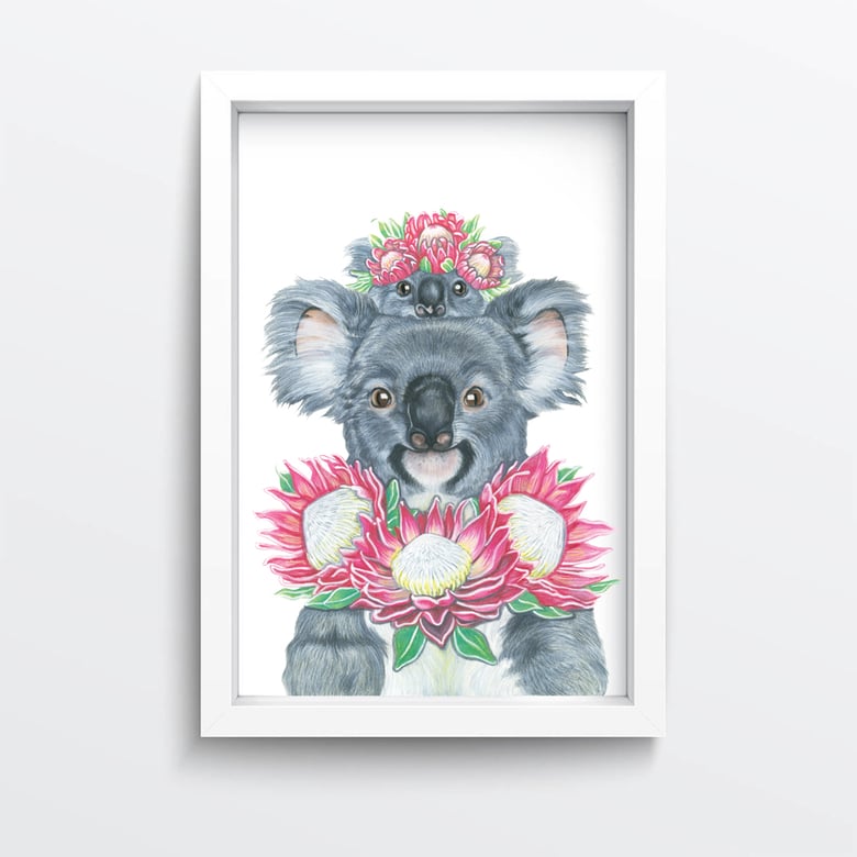Image of Protea Koalas Giclée Print