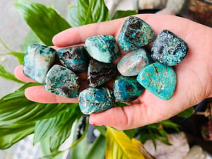 Image of Chrysocolla 