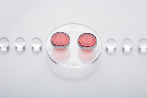 Image of "The Sun illuminates..." silver earrings with red acrylic glass · SOL CUNCTA SUA ·