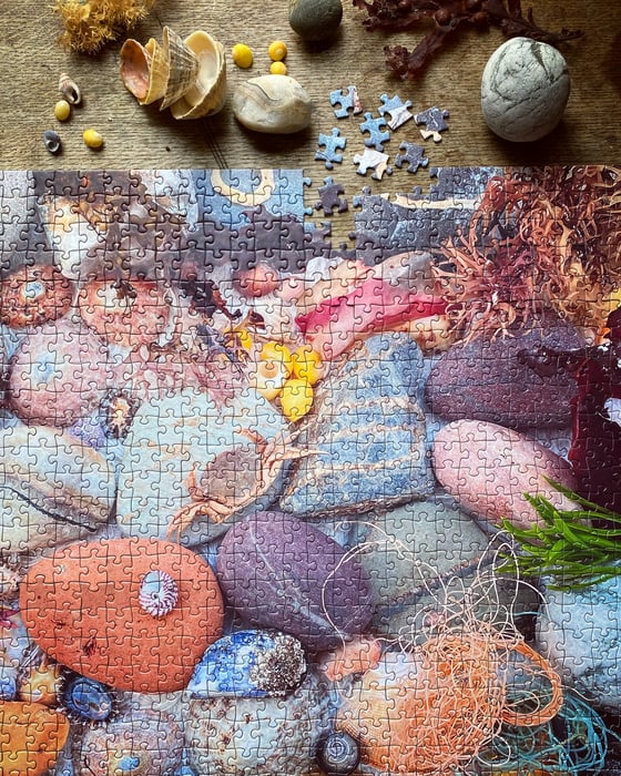 Image of 'Beach Finds' 1000 Piece Limited Edition Jigsaw