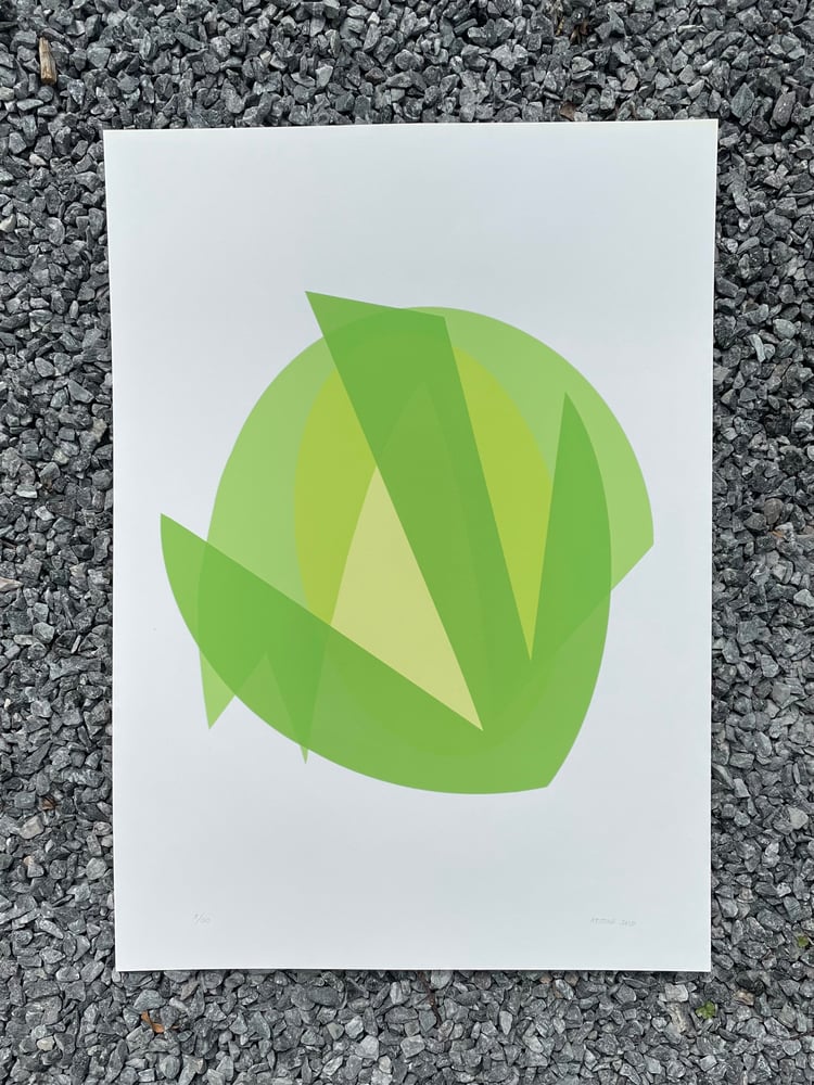 Image of Lime Print