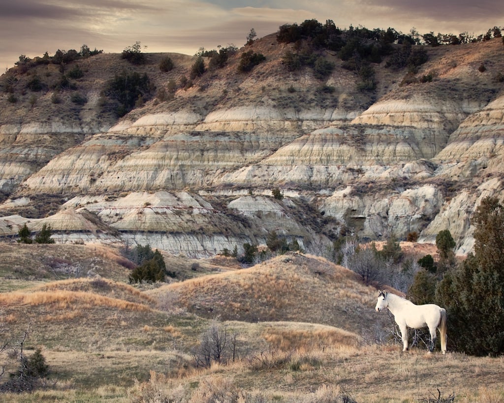 Image of The Lone Ranger