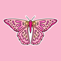 pink butterfly sticker