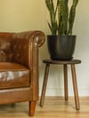 Plant Stand