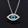 The Silver Eye 