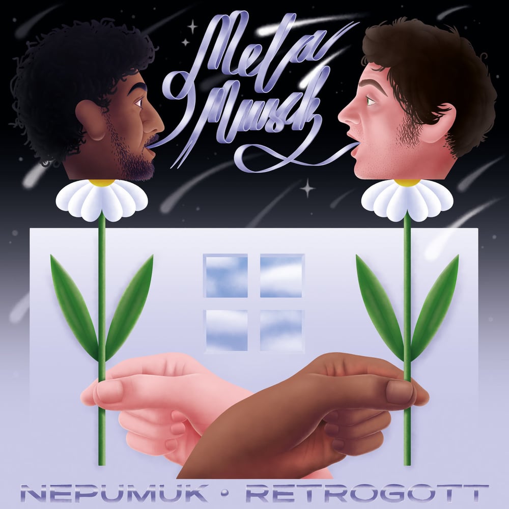 Image of  Nepumuk & Retrogott - Metamusik - LP (SICHEXOT)