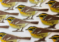 Image 1 of Siberian Accentor - Large Design - Pin Badge/Brooch/Magnet