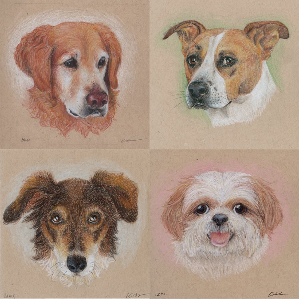 Image of Custom Pet Portrait 6"x6" (Any Animal)