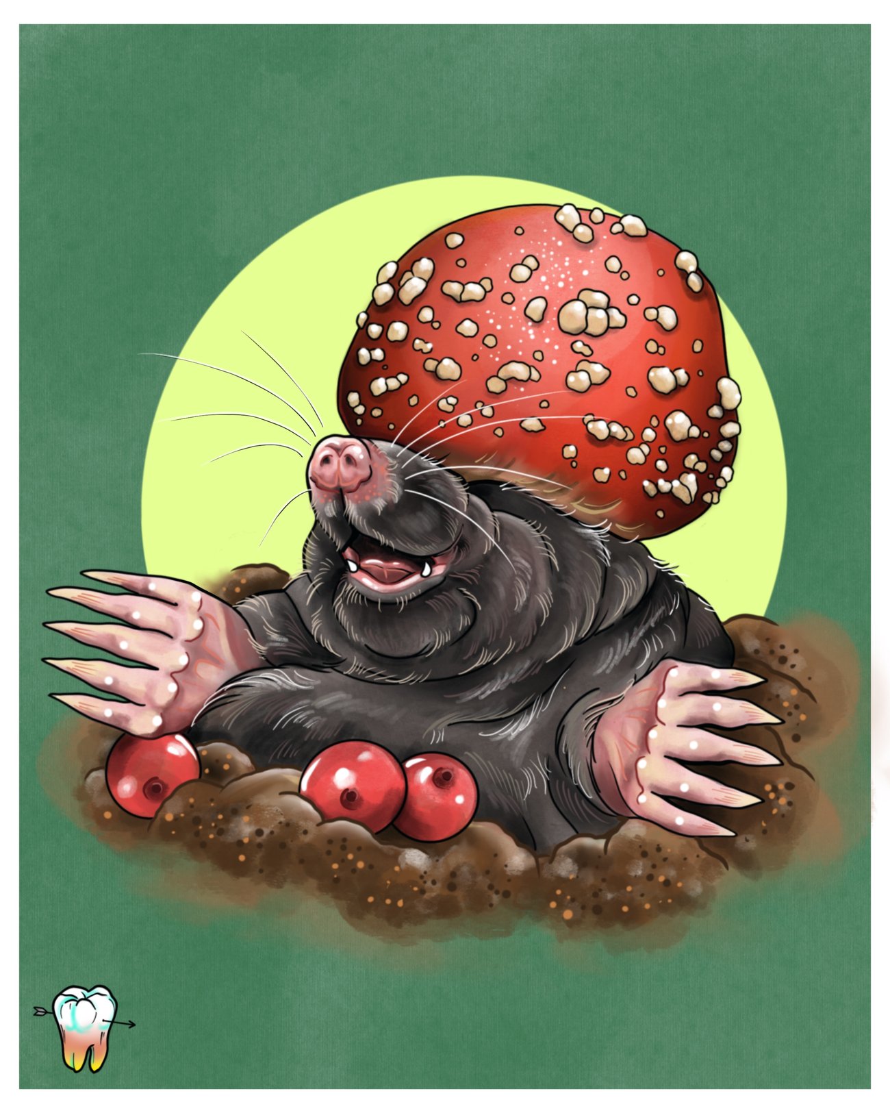 Products | Snaggle Tooth Arts