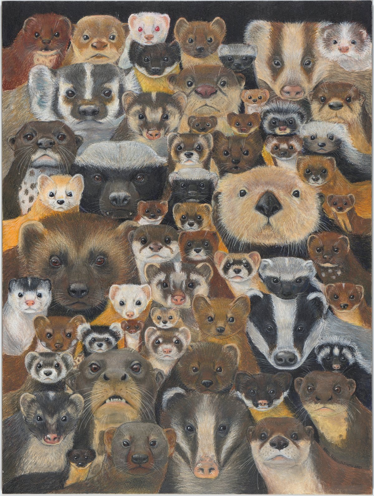 Image of "Mustelid Family Portrait" Fine Art Print 12" x 16"
