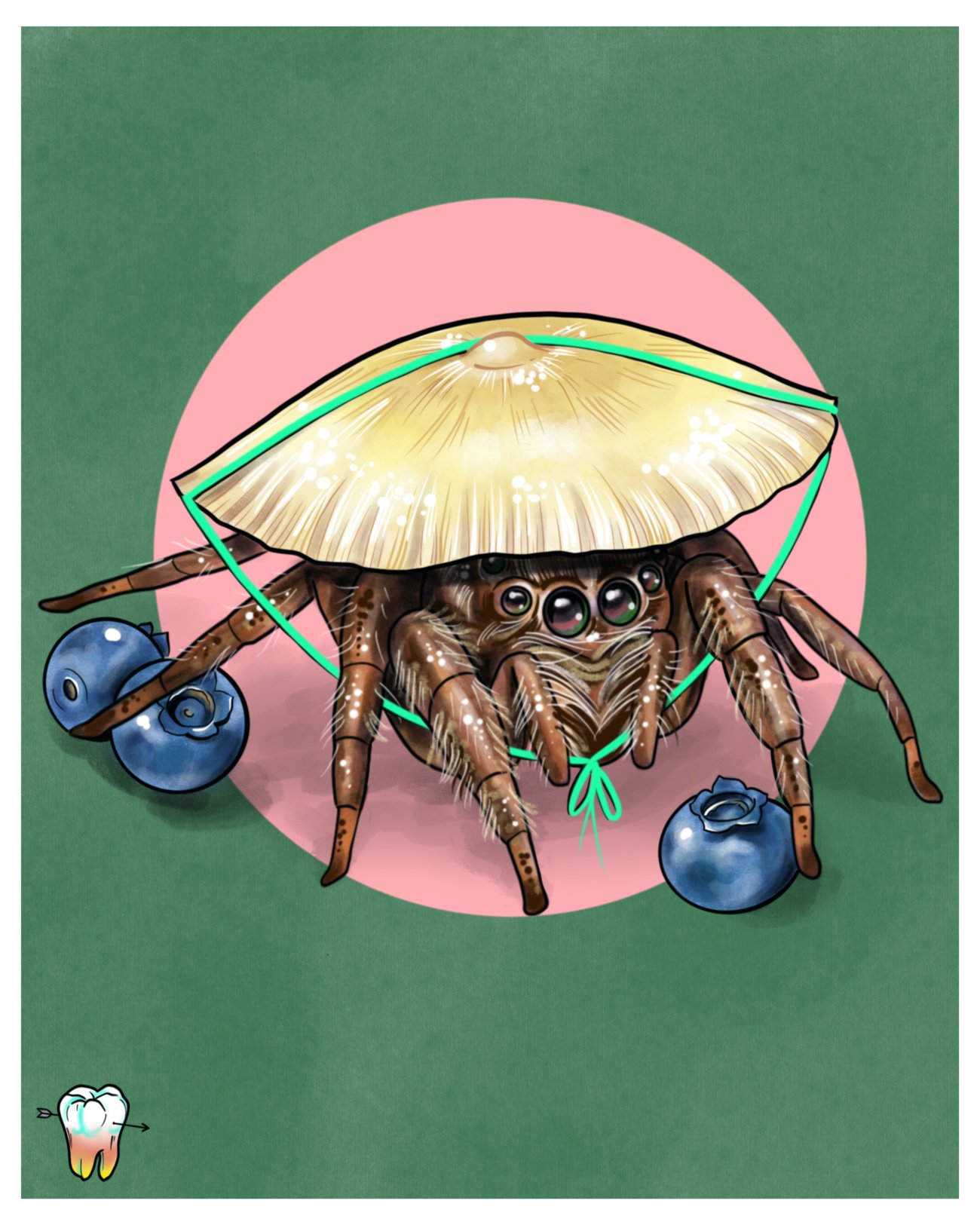 Products | Snaggle Tooth Arts