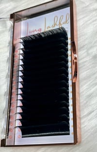 Image 3 of .03 D Curl Lash Tray