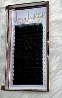 Image 1 of .15 CC Curl Lash Tray