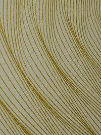Image 2 of Radial Undulations 002