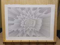 Chaos Rose 001