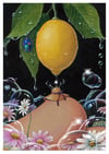 “An early summer night's dream” print (DP417)