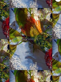 Image 4 of Mother Nature’s  Hand limited edition scarf