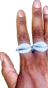 Image 2 of Cowry Knuckle Duster - Adjustable