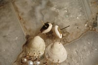 Image 3 of Shell & Pearl Dangles