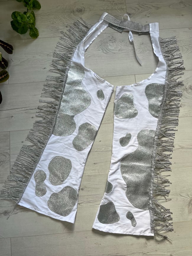 Sparkly Glitter Space Girl cow chaps with Rhinestone trim 