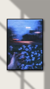 Image 2 of BLUE NIGHT, FLOWERS