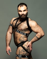 Image 2 of THE NIPPLE HARNESS