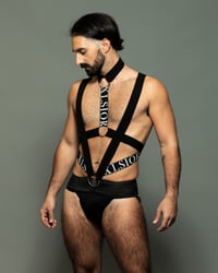 Image 1 of THE C*CK RESTRAINT HARNESS 