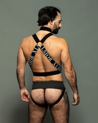 Image 3 of THE C*CK RESTRAINT HARNESS 