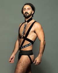 Image 2 of THE C*CK RESTRAINT HARNESS 