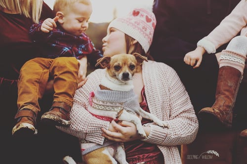 Image of Reserved for Brittany - Puppy Session