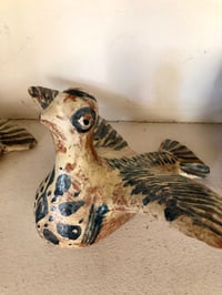 Image 2 of Oiseaux en duo