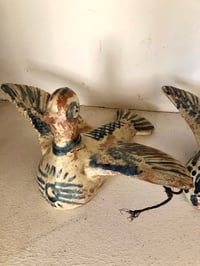 Image 3 of Oiseaux en duo