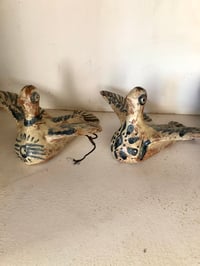 Image 1 of Oiseaux en duo