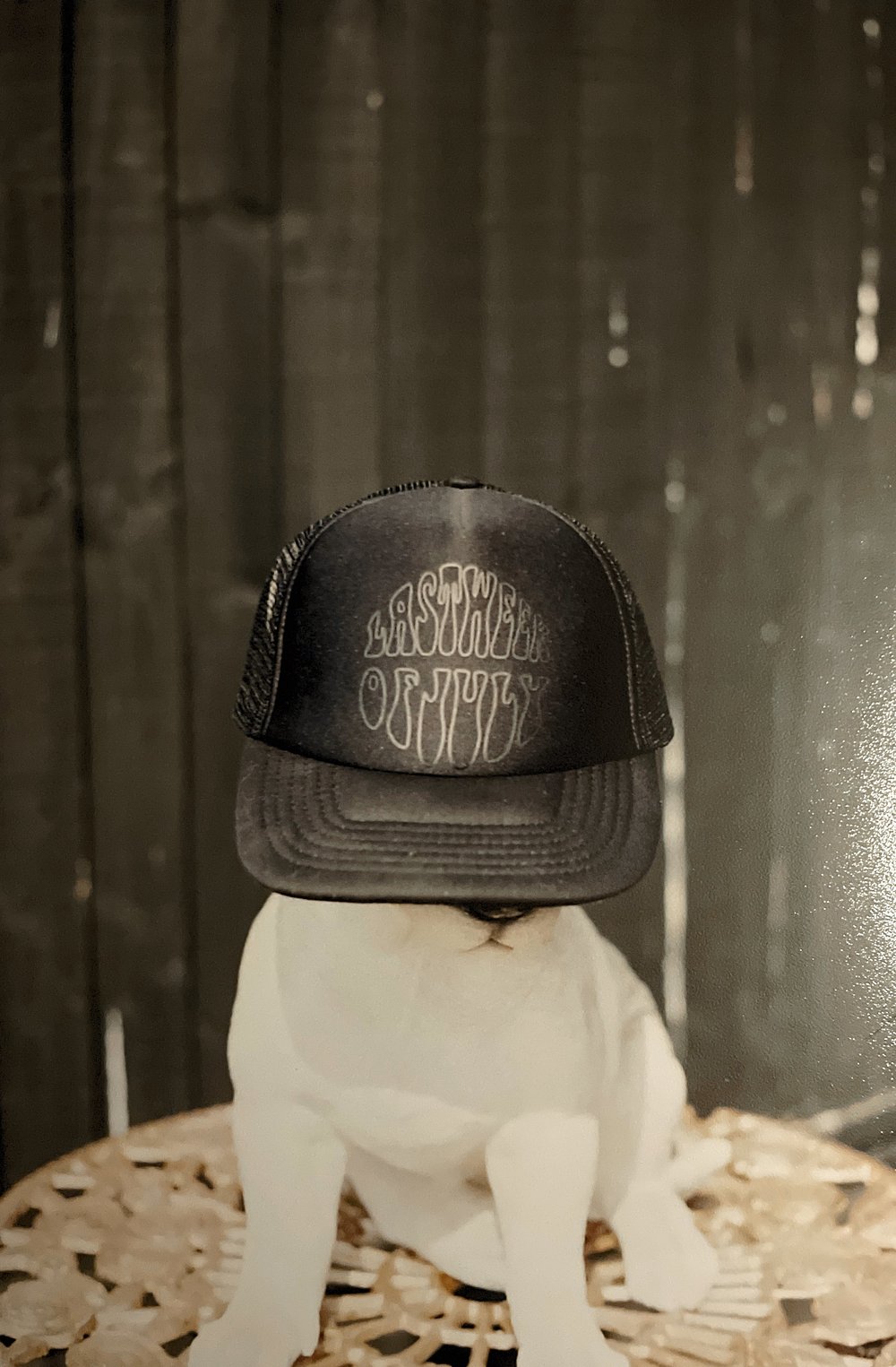 Truckers Mesh Cap