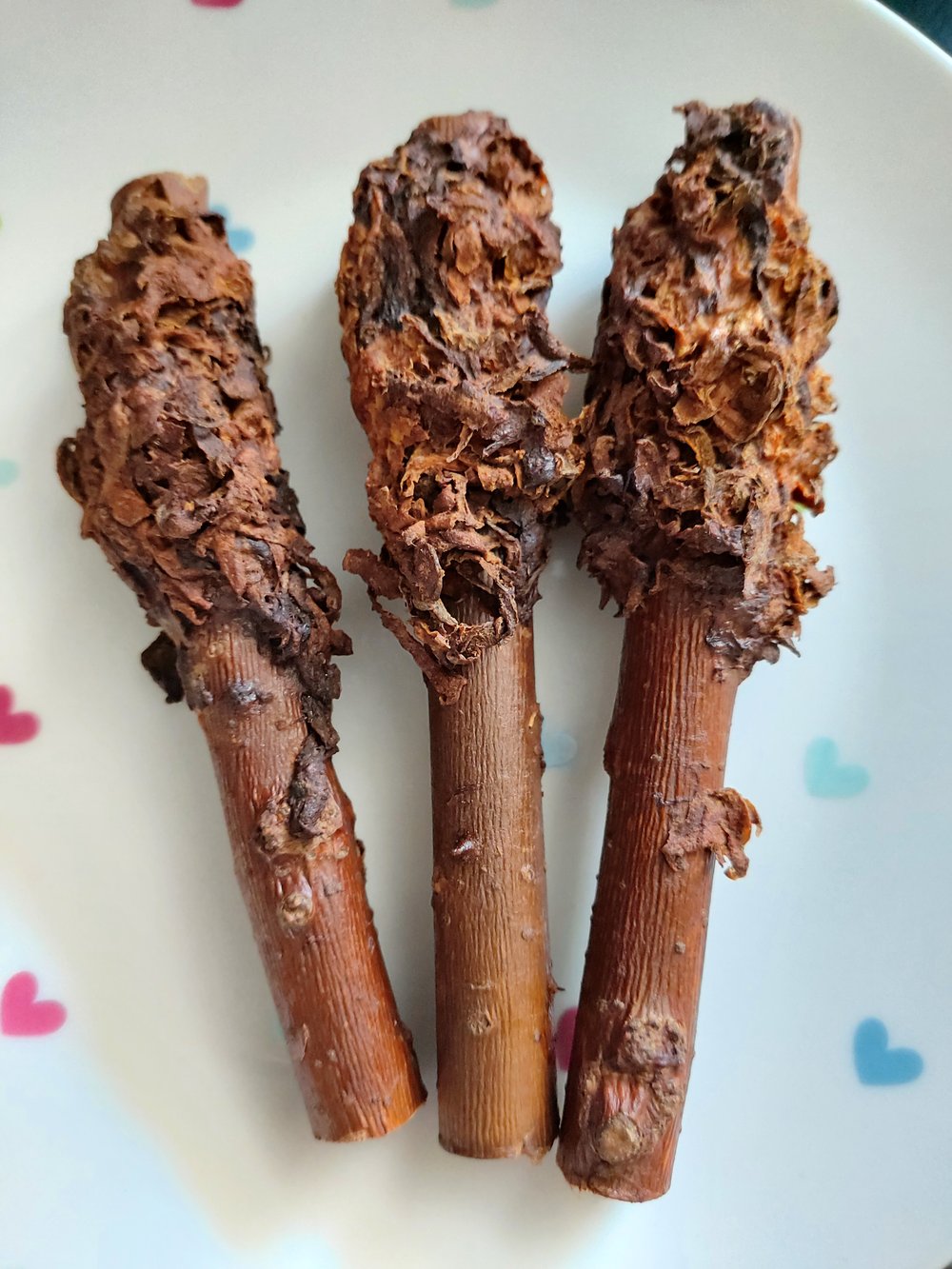 Image of Banana and carrot baked willow branch pieces
