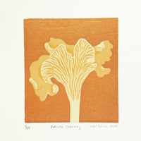 Image 1 of "Delicate Delicacy" Chanterelle Woodcut Print