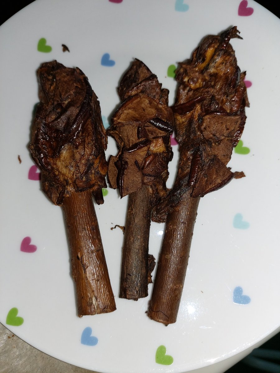 Image of Banana and Apple baked willow branch pieces