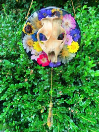 Animal Skull Botanical Wall Hang