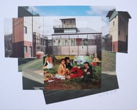 Image 1 of 'See Jungle'