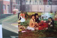 Image 4 of 'See Jungle'