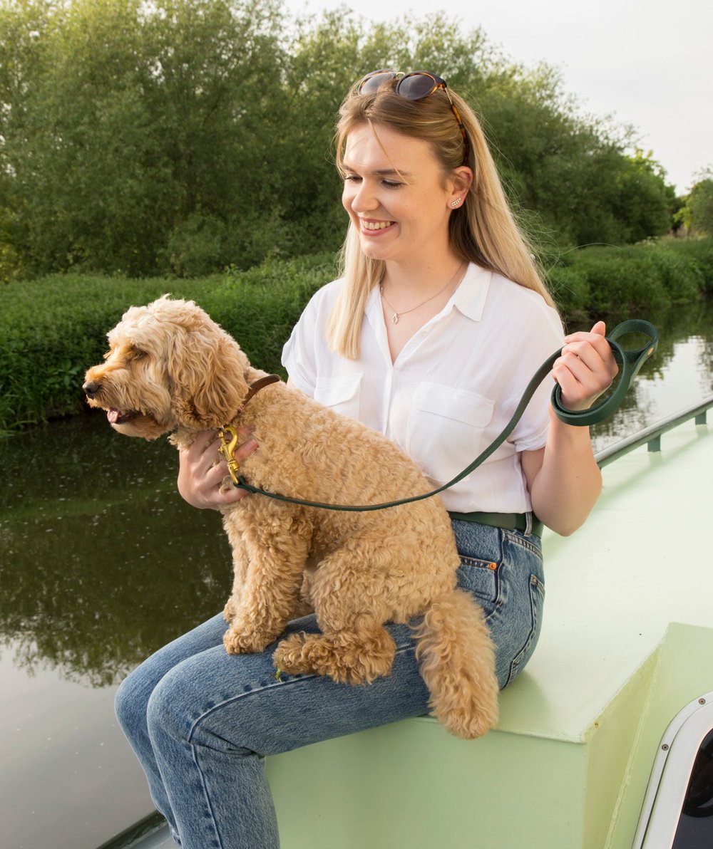 Dog Leads